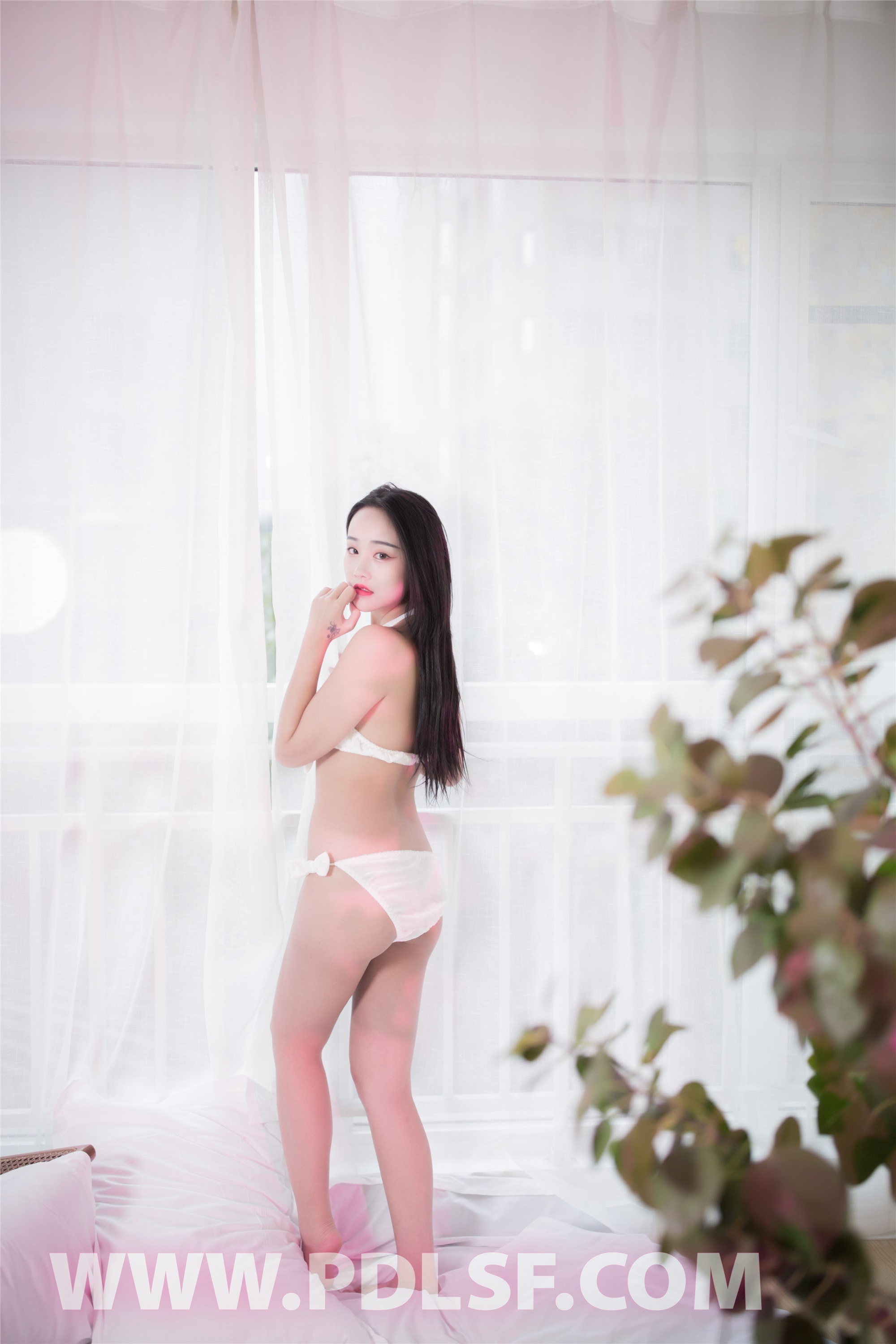 PDL潘多拉  2020.06.17 NO.299 秘製小漢堡